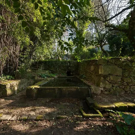 Casa Do Sobreiro * Pedroso