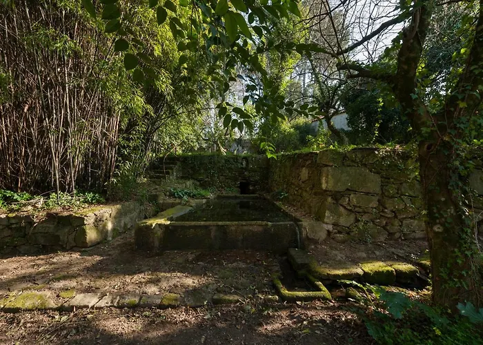 Casa Do Sobreiro * Pedroso