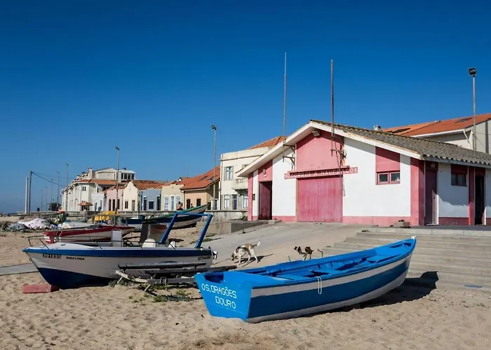 Dom wakacyjny Casa Do Sobreiro